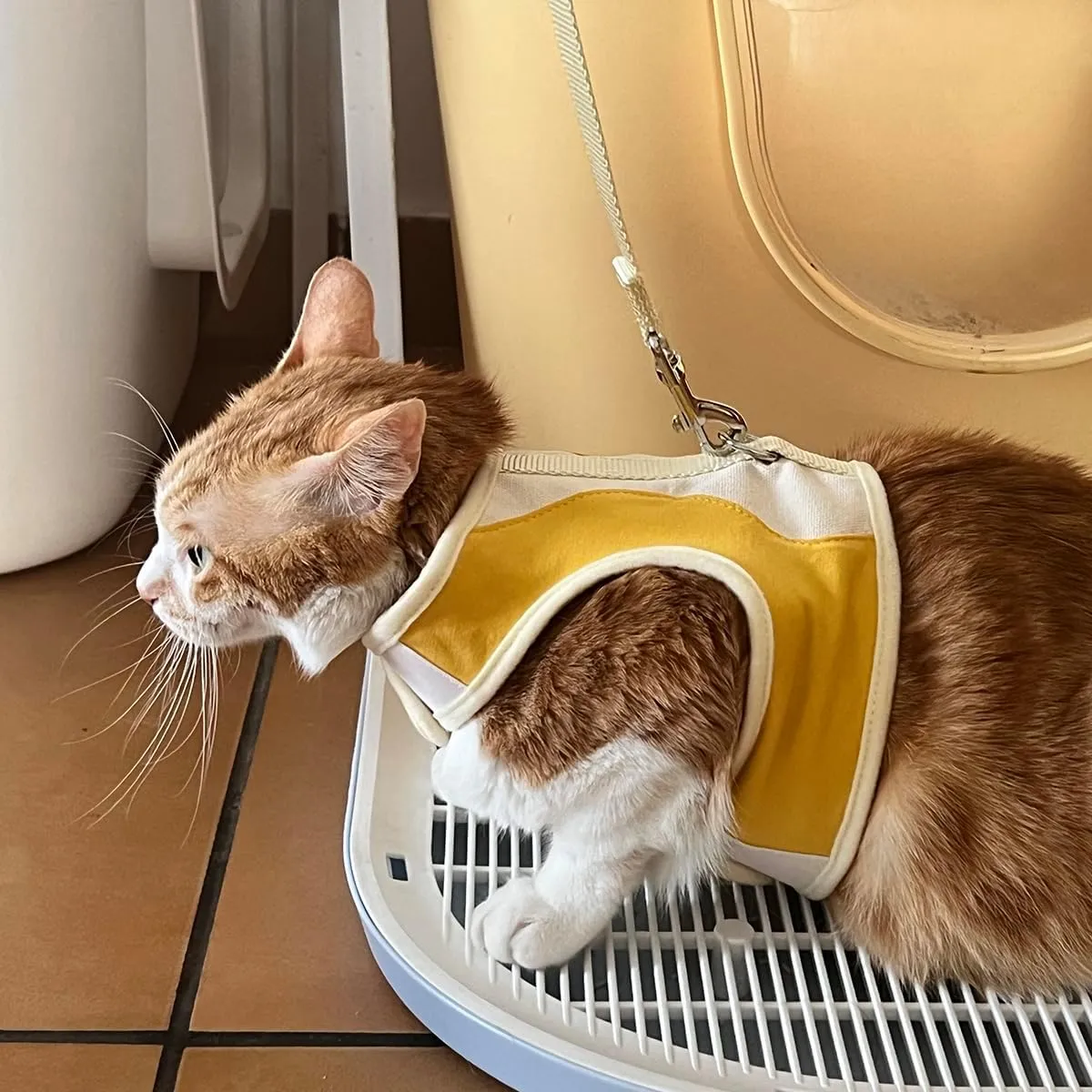Adjustable Cat Wrap Harness with 6ft Leash Soft Breathable Cat Walking Harness Leads (Yellow, Medium)