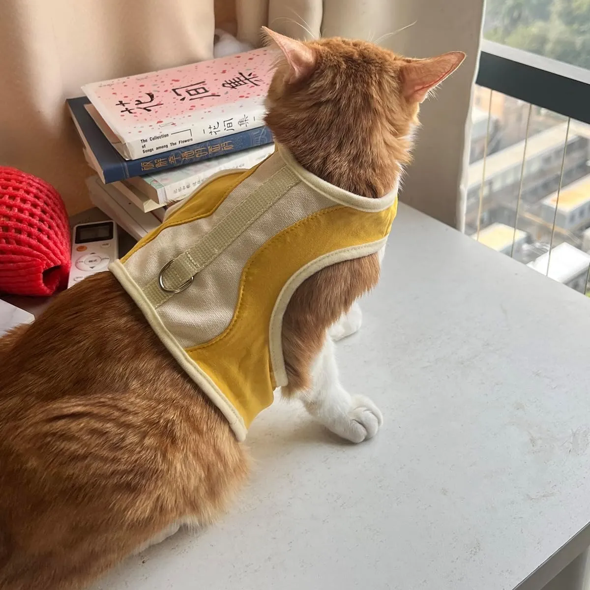 Adjustable Cat Wrap Harness with 6ft Leash Soft Breathable Cat Walking Harness Leads (Yellow, Medium)