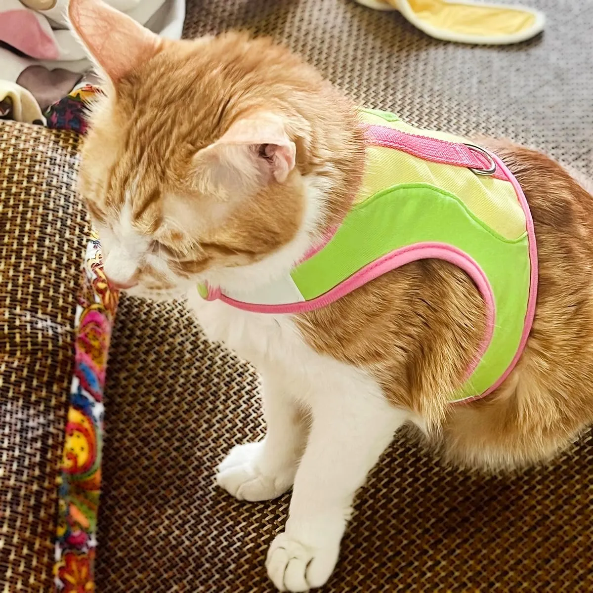 Adjustable Cat Wrap Harness with 6ft Leash Soft Breathable Cat Walking Harness Leads (Yellow, Medium)
